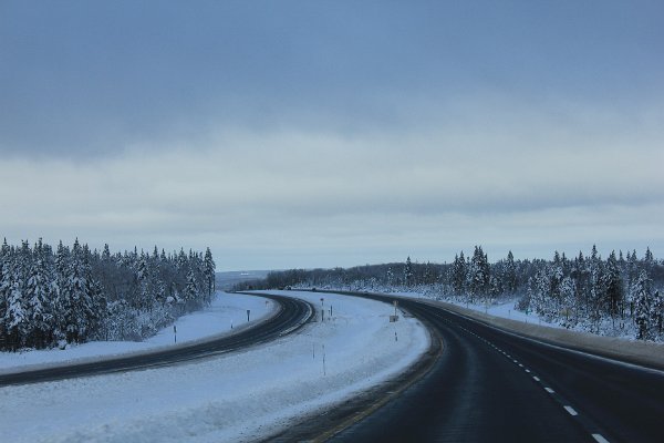 New Camera Dec2010 214